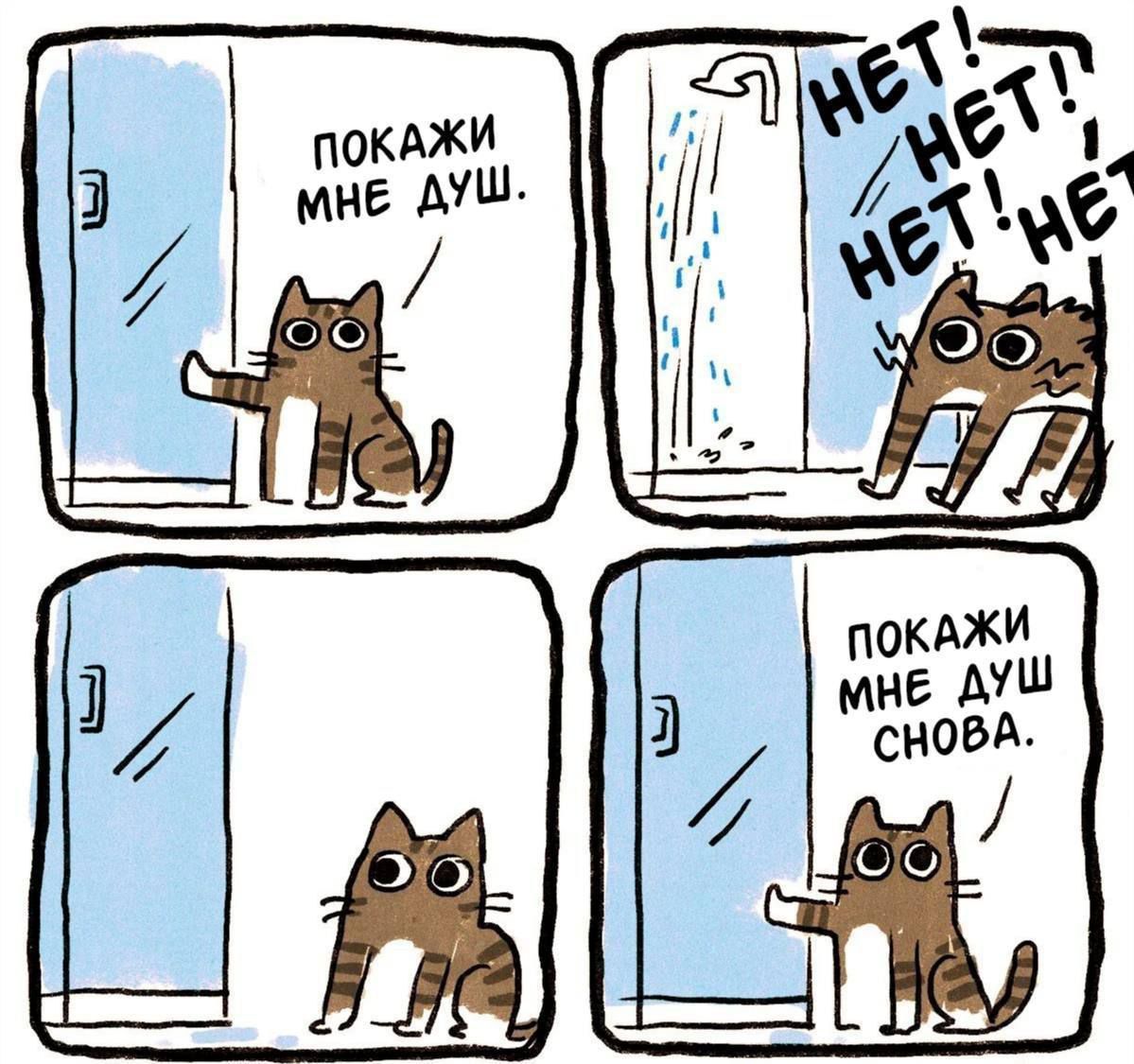 ПОКАЖИ МНЕ ДУШ.
НЕТ! НЕТ! НЕТ! НЕТ!
ПОКАЖИ МНЕ ДУШ СНОВА.