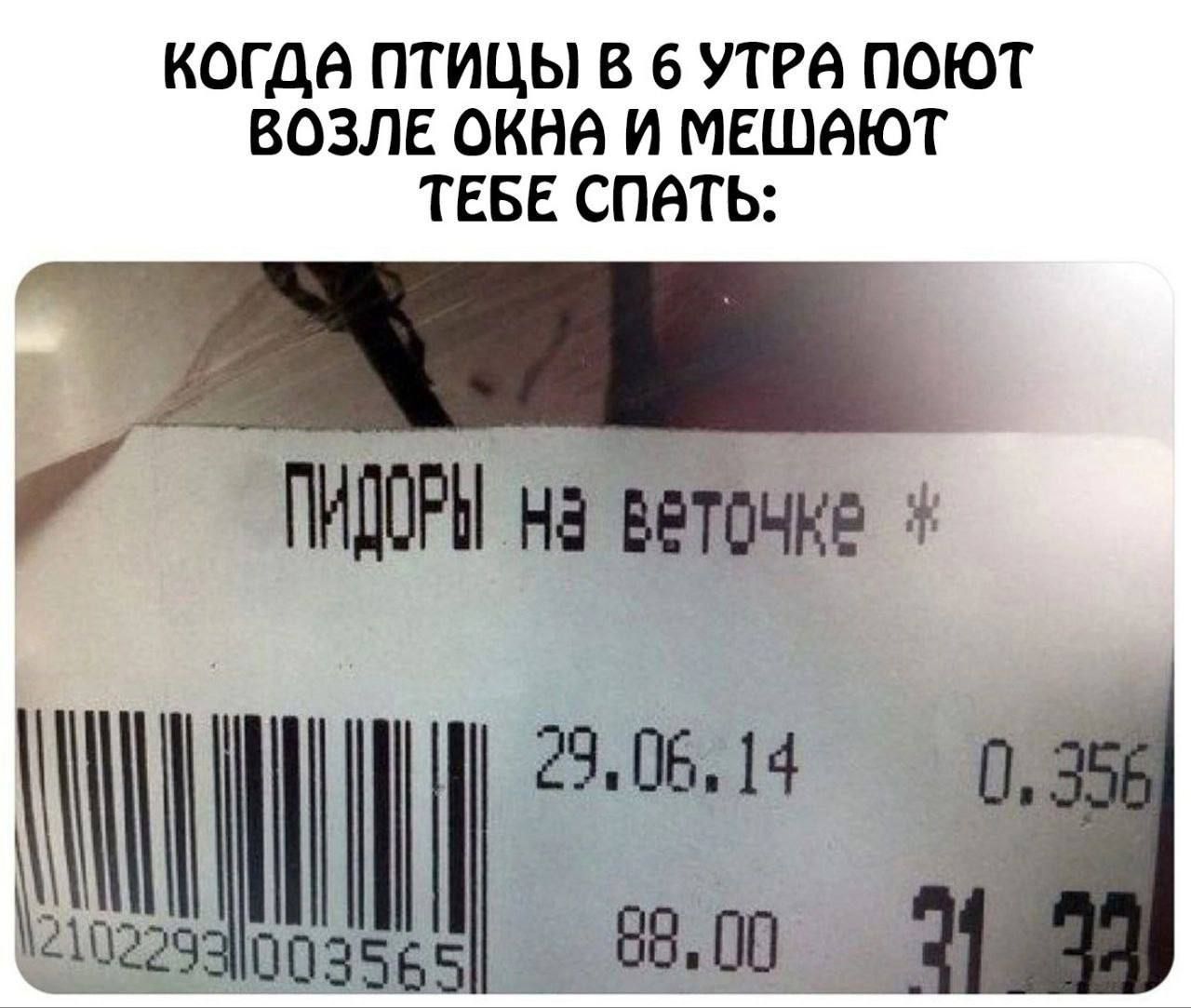 Когдa птицы в 6 утра поют возле окна и мешают тебе спать: Пидоры на веточке * 29.06.14 88.00 31.33