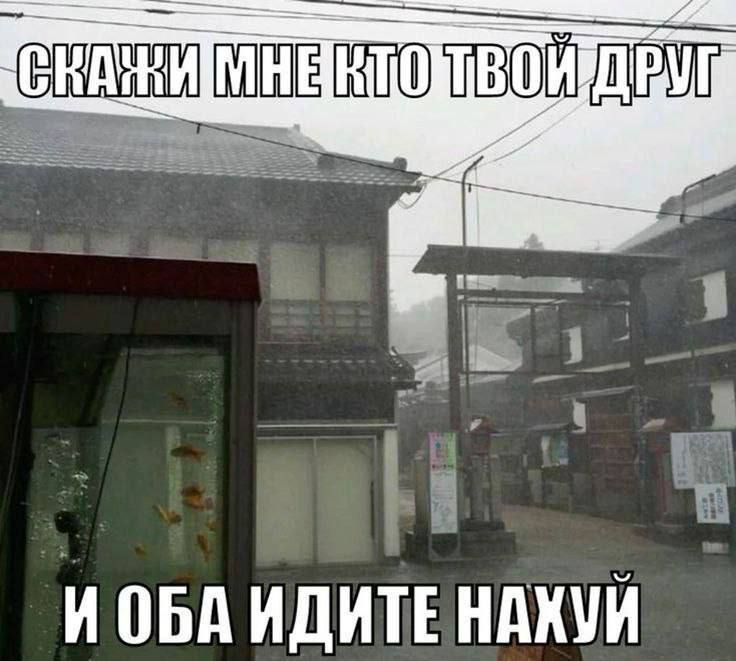скажи мне кто твой друг
и оба идите нахуй