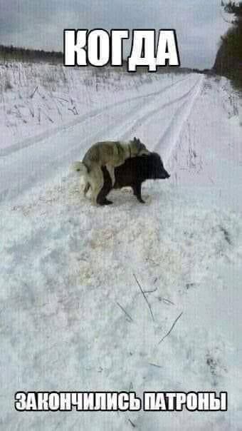 Когда закончились патроны
