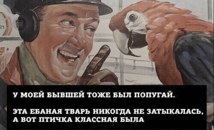 У МОЕЙ БЫВШЕЙ ТОЖЕ БЫЛ ПОПУГАЙ. ЭТА ЕБАНАЯ ТВАРЬ НИКОГДА НЕ ЗАТЫКАЛАСЬ, А ВОТ ПТИЧКА КЛАССНАЯ БЫЛА.
