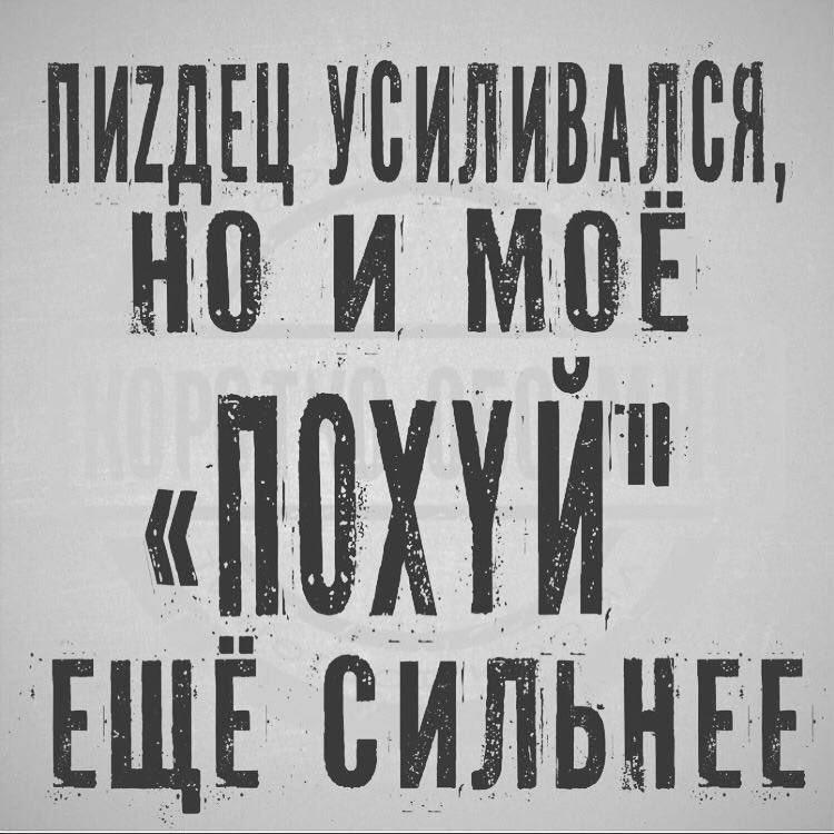 Пиздец усиливался, но и моё «похуй» ещё сильнее