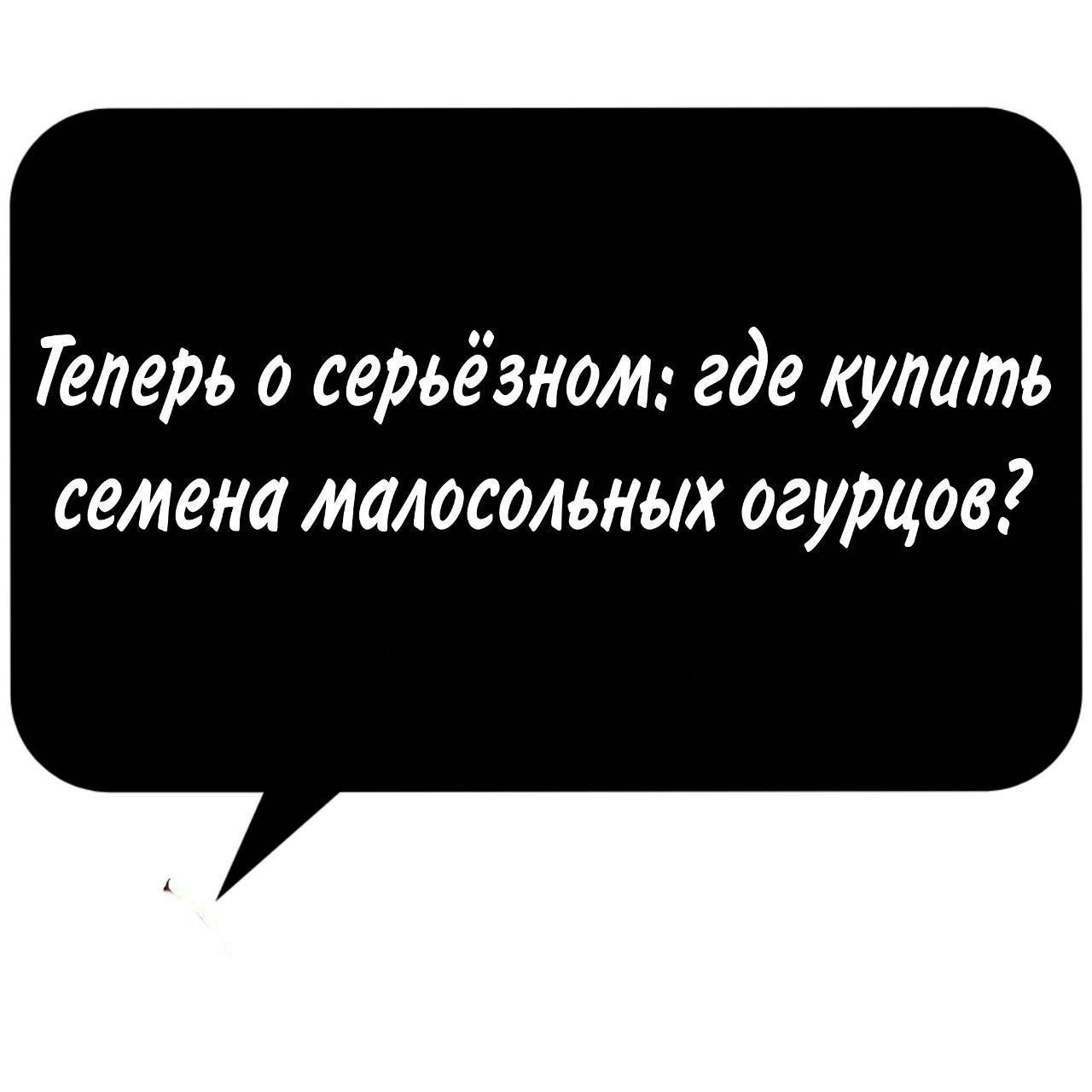 Теперь о серьёзном: где купить семена малосольных огурцов?