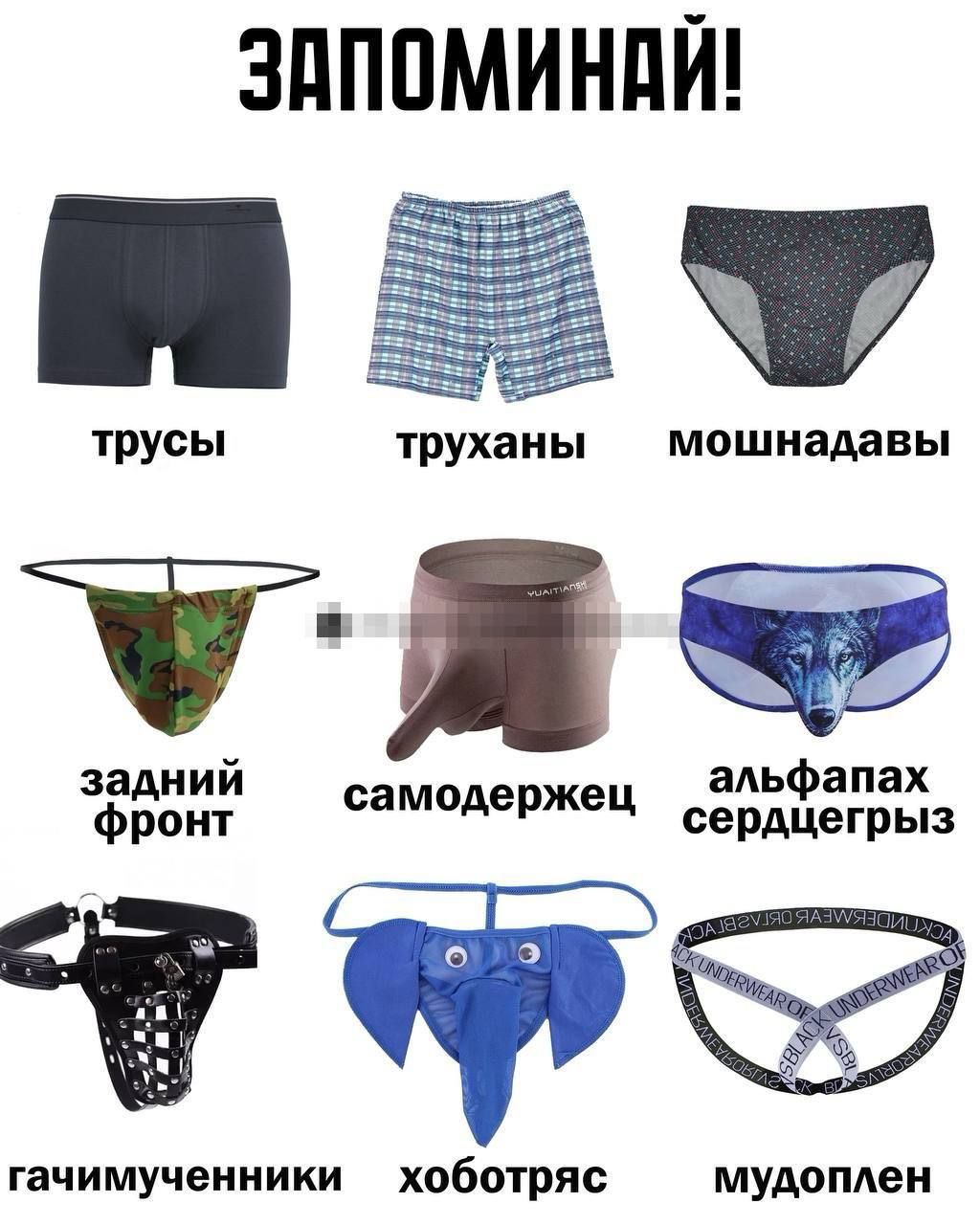 ЗАПОМИНАЙ! трусы труханцы мошнадавы задний фронт самодержец альфапах сердцегрыз гачимученники хоботряса мудоплен