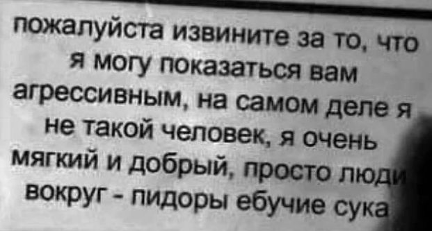 пожалуйста извините за то, что я могу показаться вам агрессивным, на самом деле я не такой человек, я очень мягкий и добрый, просто люди вокруг - пидоры ебучие сука