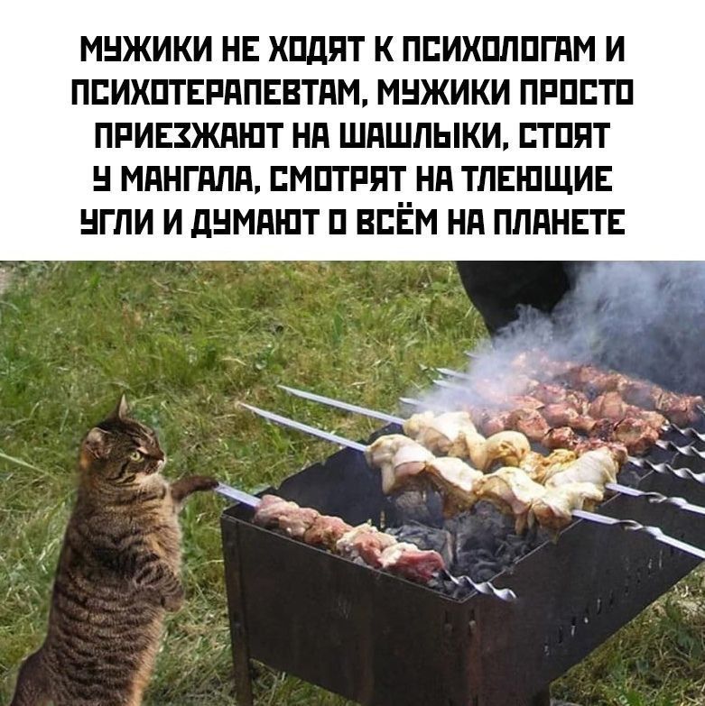 МУЖИКИ НЕ ХОДЯТ К ПСИХОЛОГАМ И ПСИХОТЕРАПЕВТАМ, МУЖИКИ ПРОСТО ПРИЕЗЖАЮТ НА ШАШЛЫКИ, СТОЯТ У МАНГАЛА, СМОТРЯТ НА ТЛЕЮЩИЕ УГЛИ И ДУМАЮТ О ВСЁМ НА ПЛАНЕТЕ