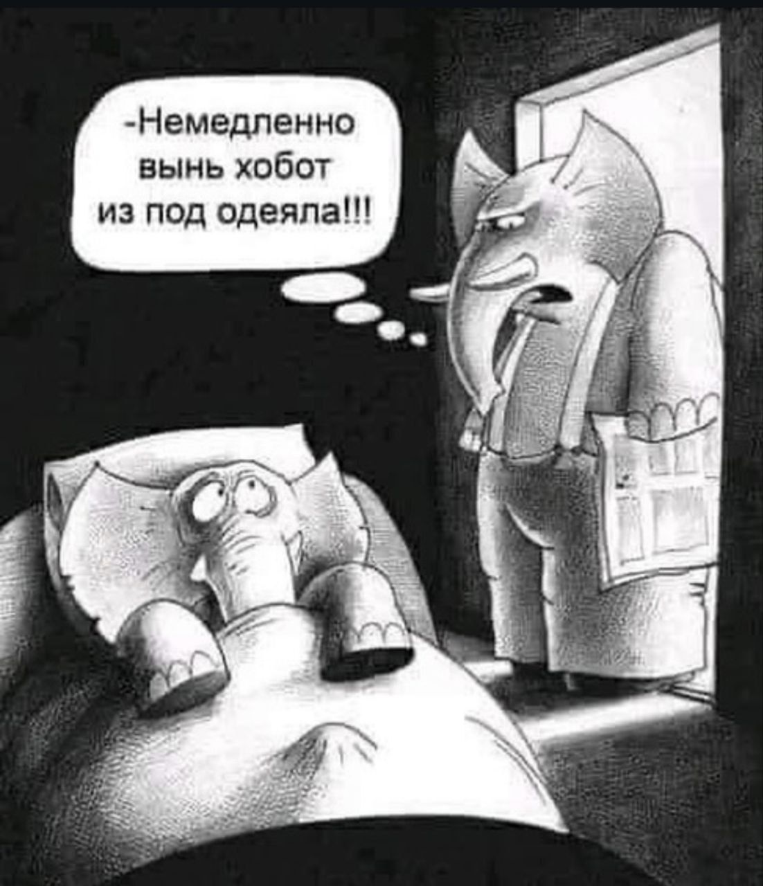 -Немедленно вынь хобот из под одеяла!!!