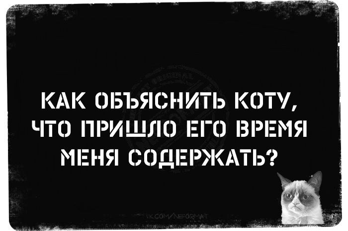 КАК ОБЪЯСНИТЬ КОТУ, ЧТО ПРИШЛО ЕГО ВРЕМЯ МЕНЯ СОДЕРЖАТЬ?