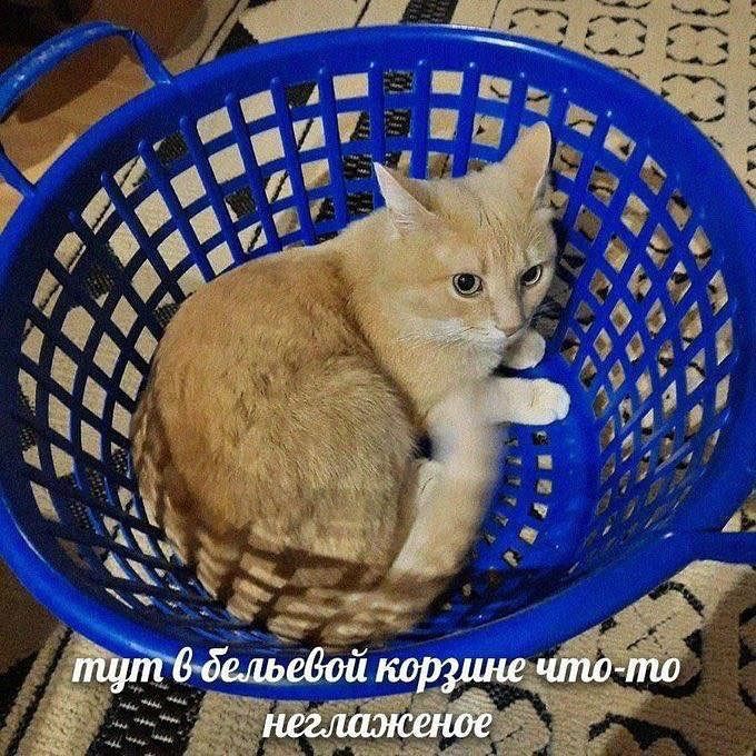 тут в белевой корзине что-то неглаженное