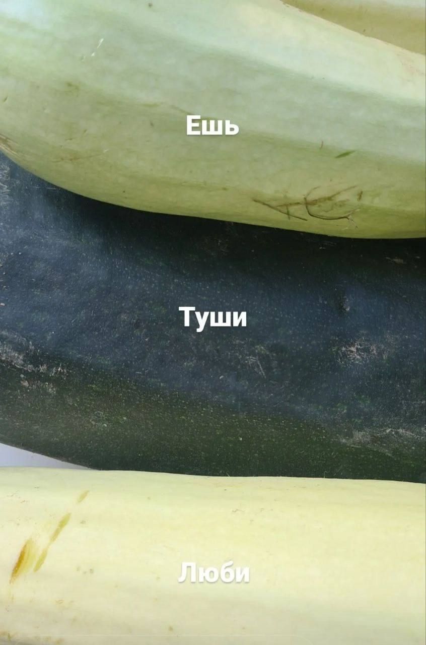 Ешь
Туши
Люби