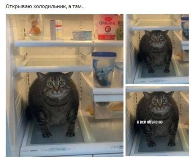 Открываю холодильник, а там... Я ВСЁ ОБЪЯСНЮ