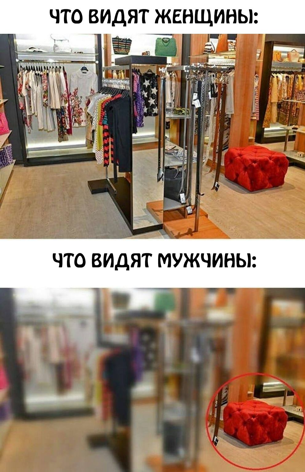 Что видят женщины: Что видят мужчины: