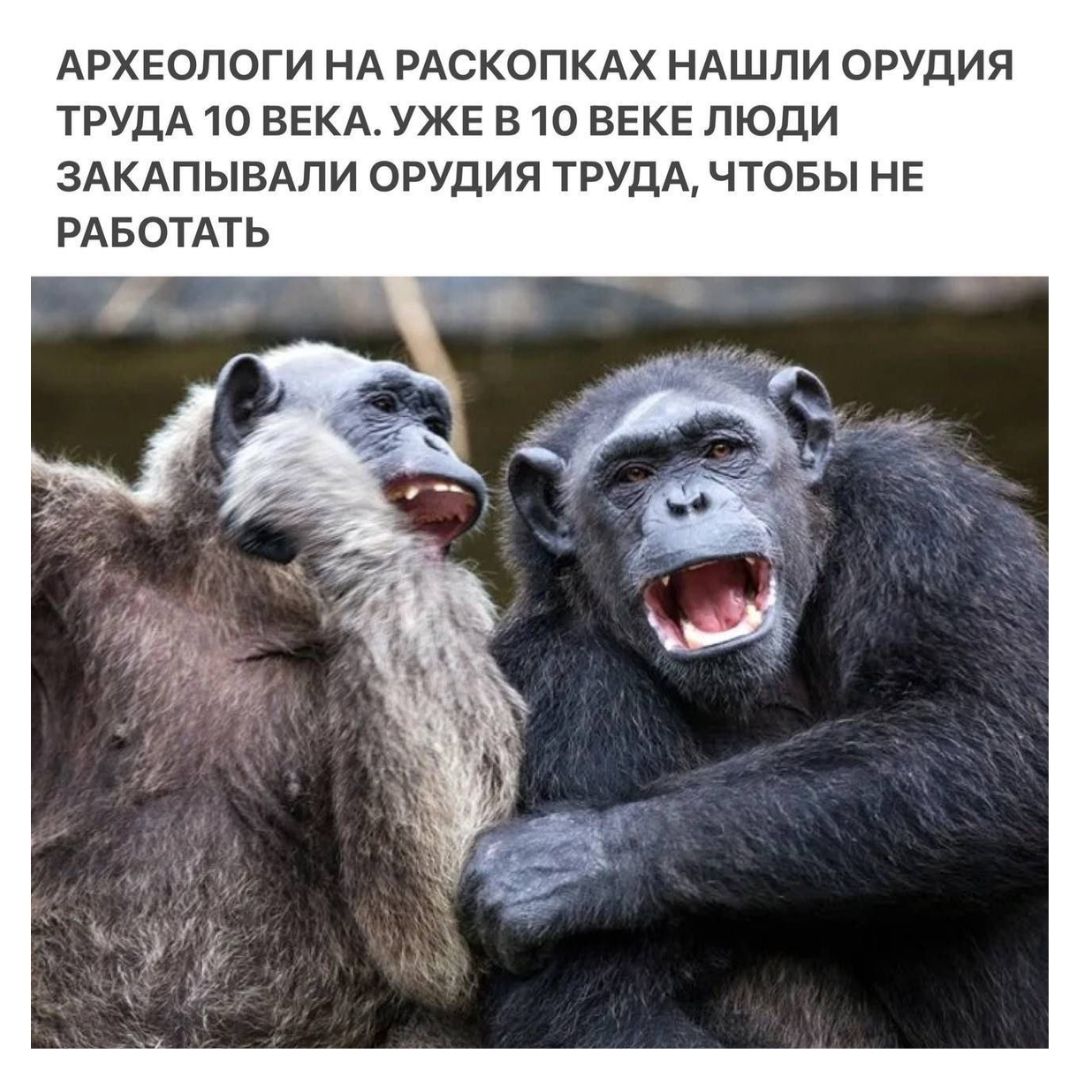 АРХЕОЛОГИ НА РАСКОПКАХ НАШЛИ ОРУДИЯ ТРУДА 10 ВЕКА. УЖЕ В 10 ВЕКЕ ЛЮДИ ЗАКАПЫВАЛИ ОРУДИЯ ТРУДА, ЧТОБЫ НЕ РАБОТАТЬ