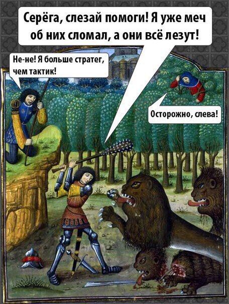 Серёга, слезай помоги! Я уже меч об них сломал, а они всё лезут! Не-не! Я больше стратег, чем тактик! Осторожно, слева!