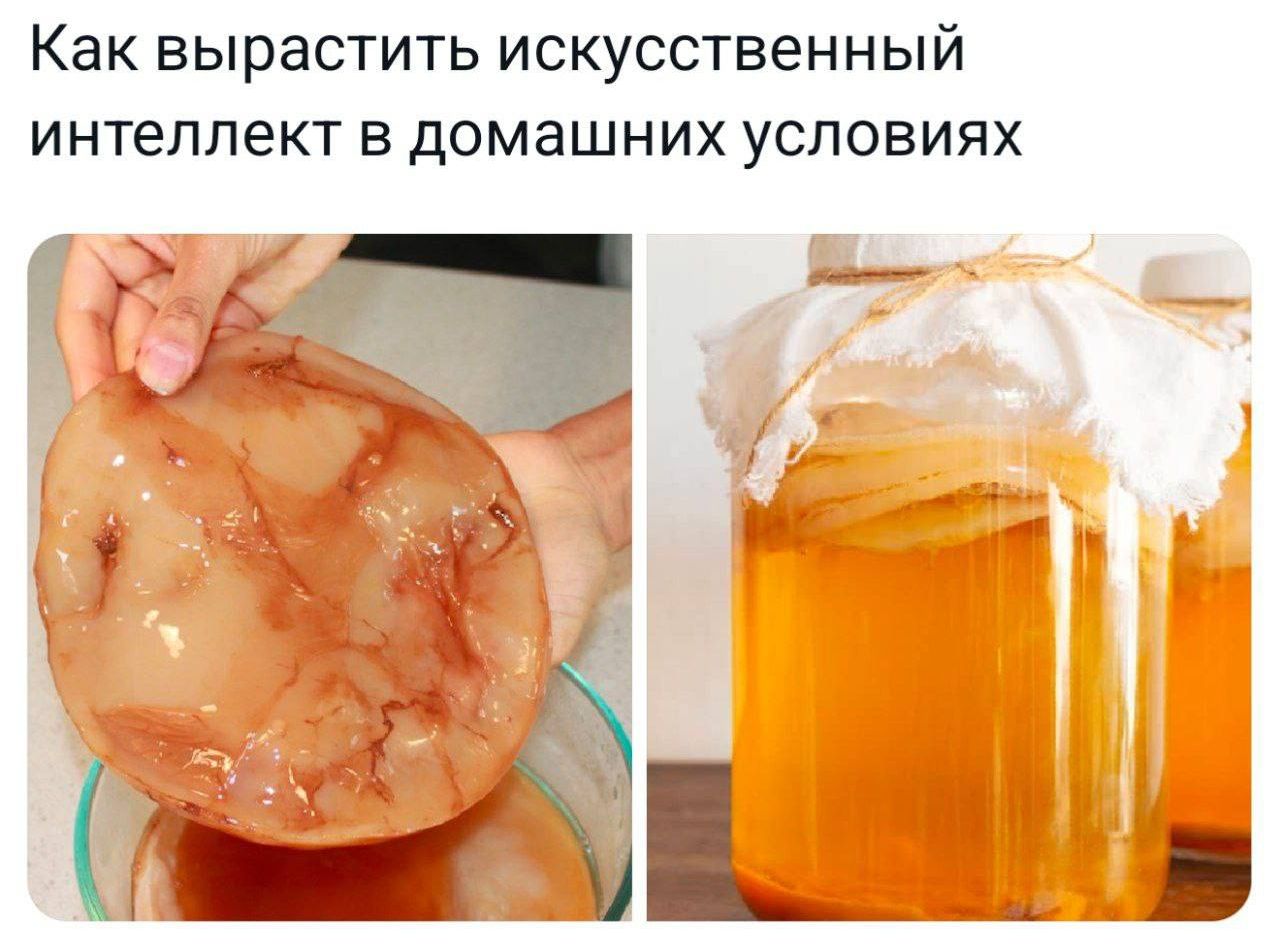 Как вырастить искусственный интеллект в домашних условиях