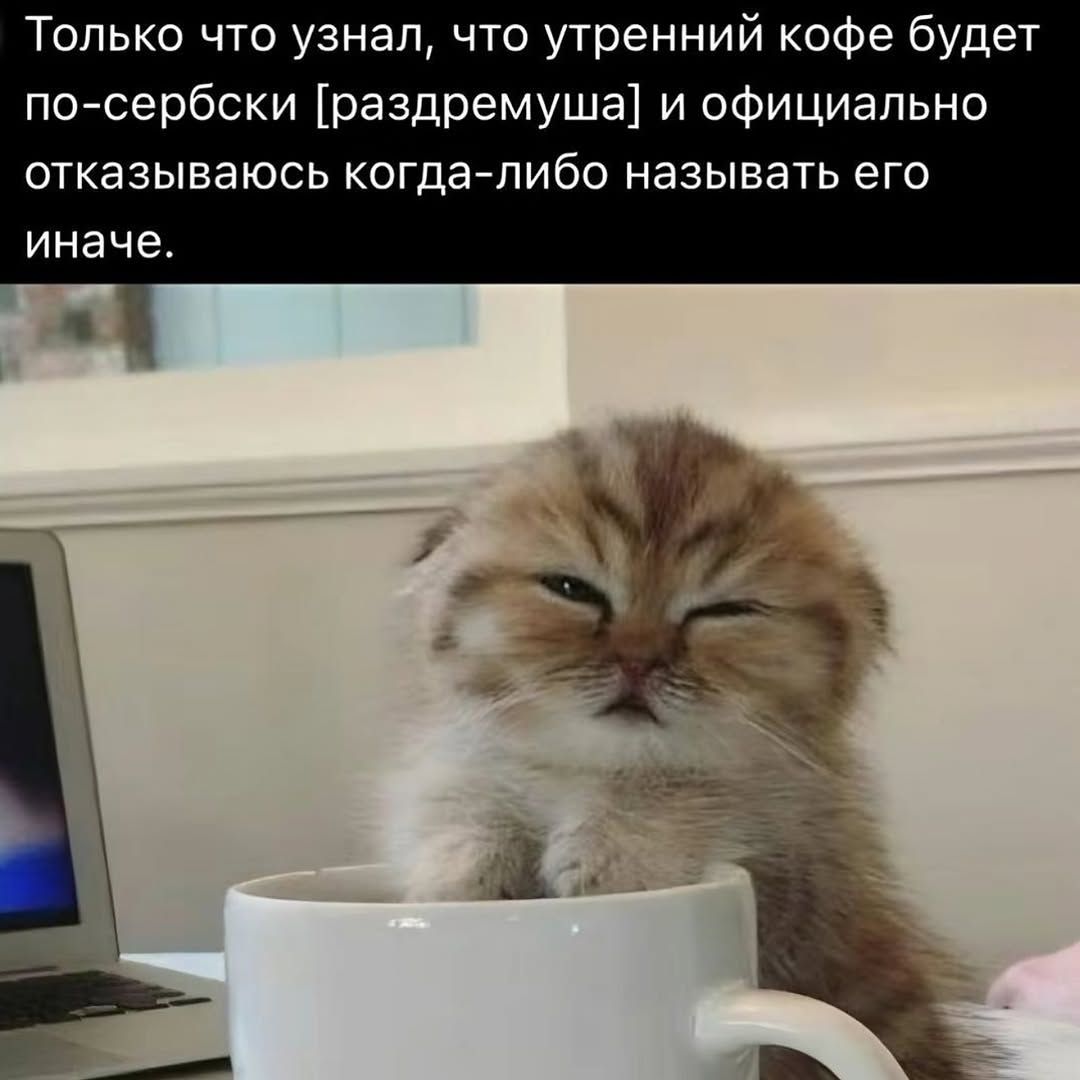 Только что узнал, что утренний кофе будет по-сербски [раздремушка] и официально отказываюсь когда-либо называть его иначе.