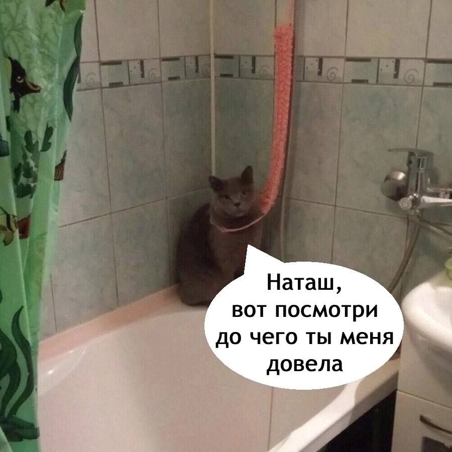 Наташ, вот посмотри до чего ты меня довела