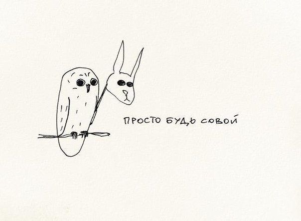 Просто будь совой