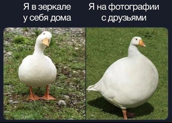 Я в зеркале у себя дома
Я на фотографии с друзьями