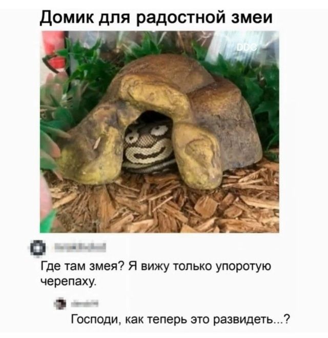 Домик для радостной змеи
Где там змея? Я вижу только упоротую черепаху.
Господи, как теперь это разглядеть…?