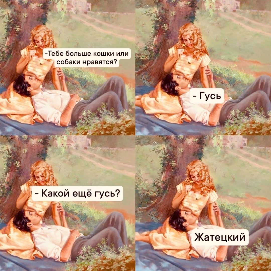 - Тебе больше кошки или собаки нравятся?
- Гусь
- Какой ещё гусь?
Жатецкий