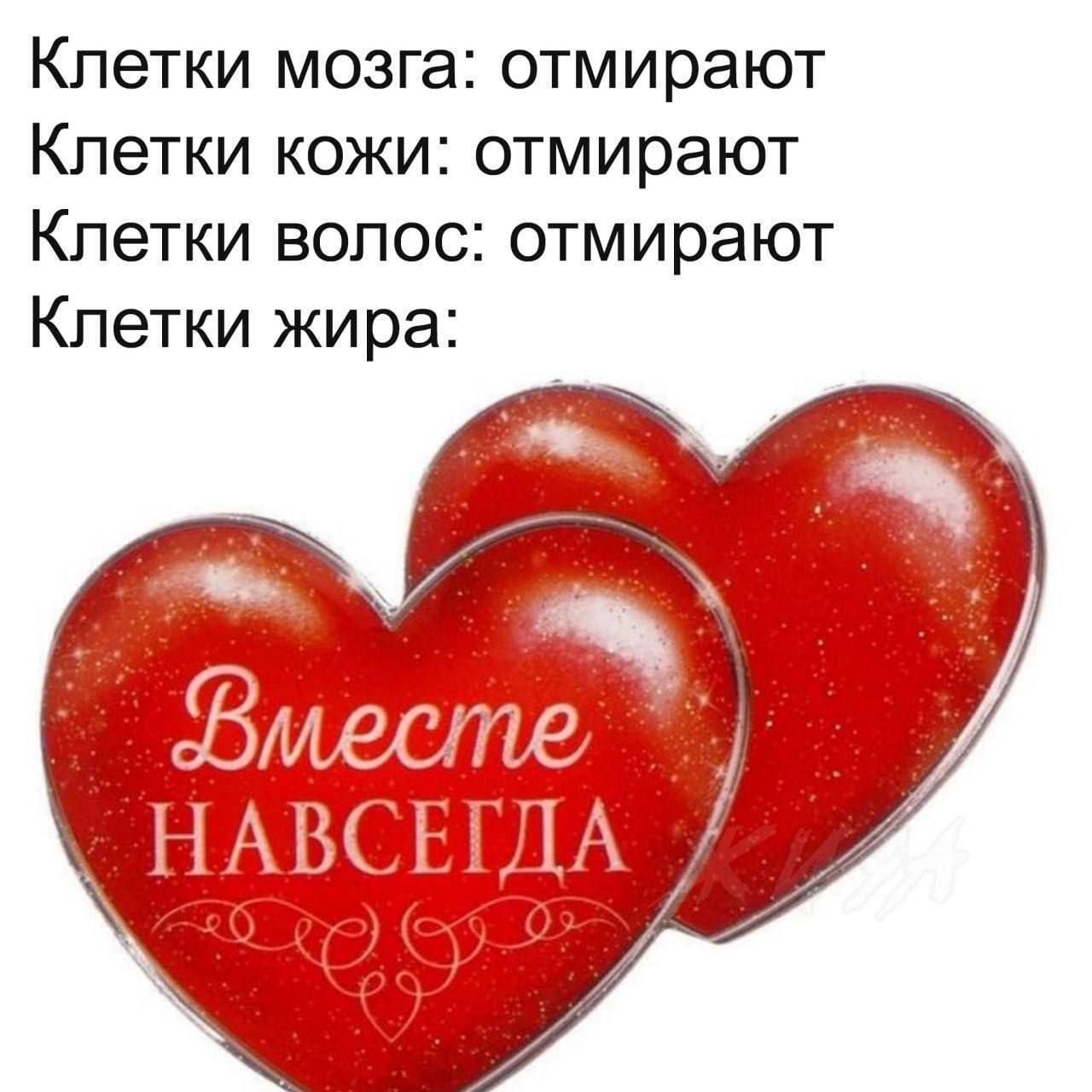 Клетки мозга: отмирают
Клетки кожи: отмирают
Клетки волос: отмирают
Клетки жира: