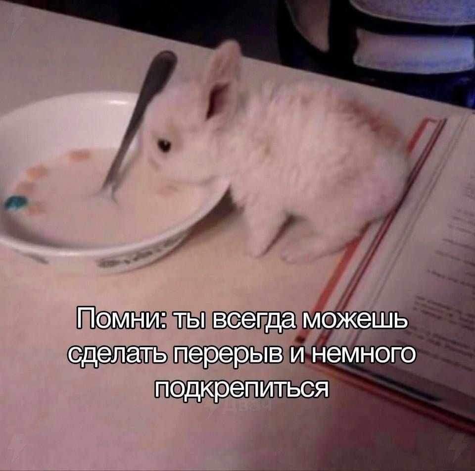 Помни: ты всегда можешь сделать перерыв и немного подкрепиться
