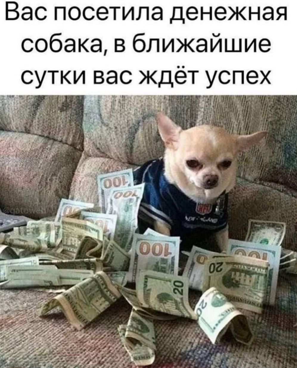 Вас посетила денежная собака, в ближайшие сутки вас ждёт успех