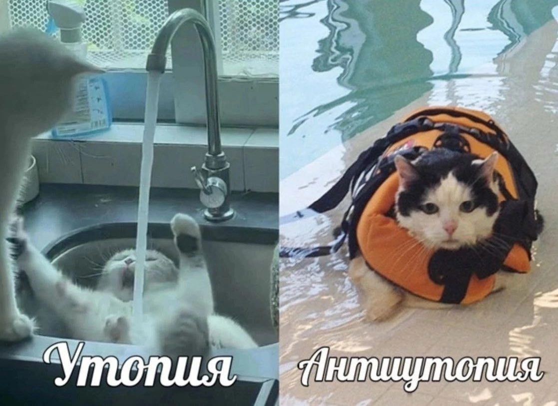 Утопия
Антиутопия