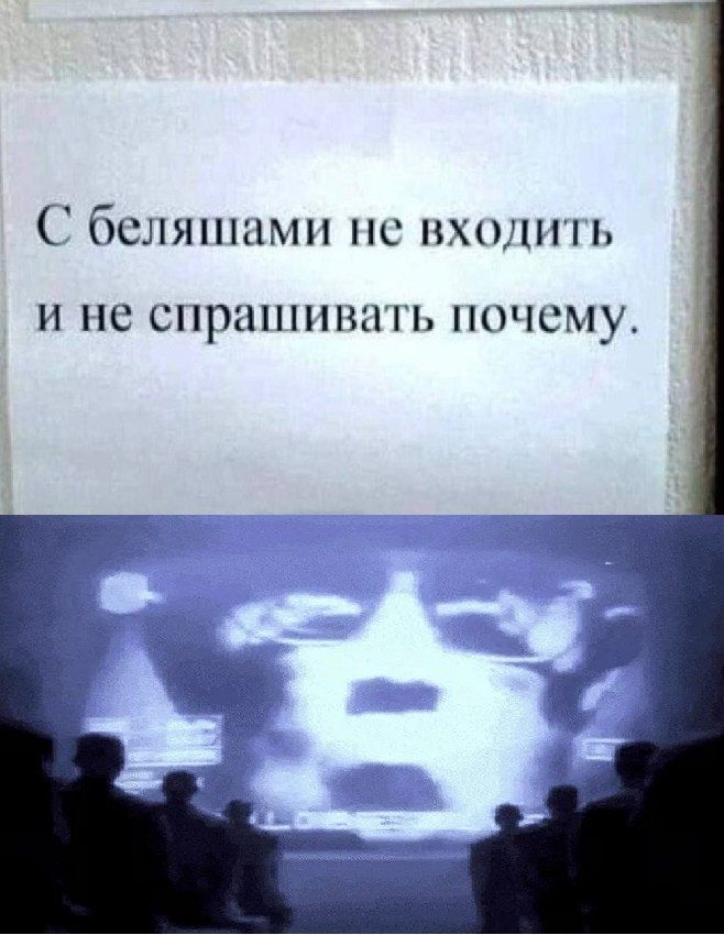 С беляшами не входить и не спрашивать почему.