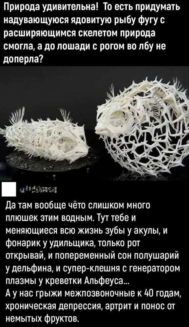 Природа удивительна! То есть придумать надувающуюся ядовитую рыбу фугу с расширяющимся скелетом природа смогла, а до лошади с рогом во лбу не допёрла?

Да там вообще чё-то слишком много плюшек этим водным. Тут тебе и меняющиеся всю жизнь зубы у акулы, и фонарик у удильщика, только рот открывай, и попеременный сон полушарий у дельфина, и супер-клешня с генератором плазмы у креветки Альфеуса...
А у нас грижи межпозвоночные к 40 годам, хроническая депрессия, артрит и понос от немытых фруктов.
