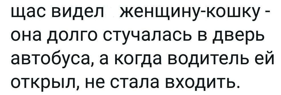щас видел женщину-кошку - она долго стучалась в дверь автобуса, а когда водитель ей открыл, не стала входить.