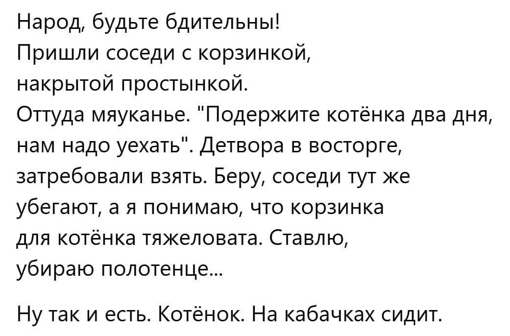 Народ, будьте бдительны!
Пришли соседи с корзинкой,
накрытой простынкой.
Оттуда мяканье. 