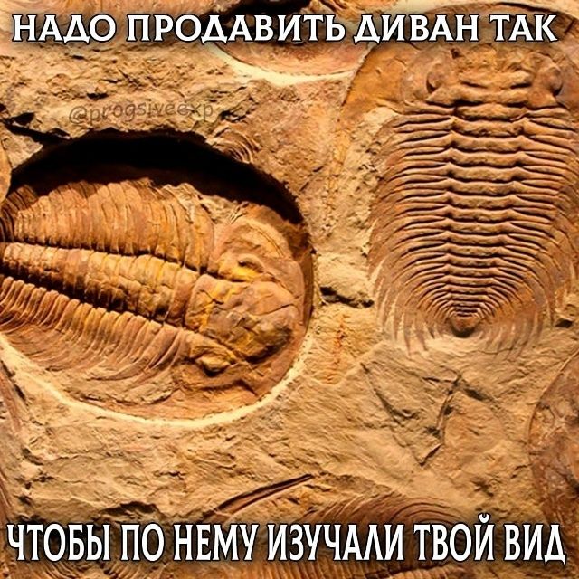НАДО ПРОДАТЬ ДИВАН ТАК, ЧТОБЫ ПО НЕМУ ИЗУЧАЛИ ТВОЙ ВИД