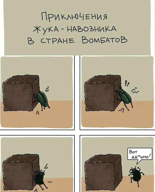 Приключения Жука-навозника в стране Вомбатов