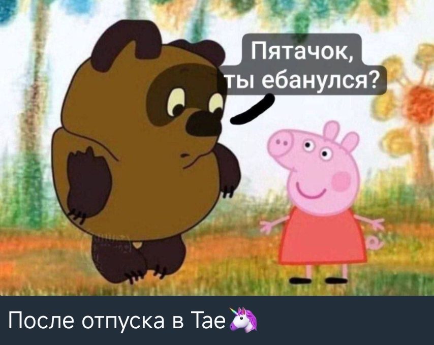 После отпуска в Тай. Пятачок, ты ебанулся?