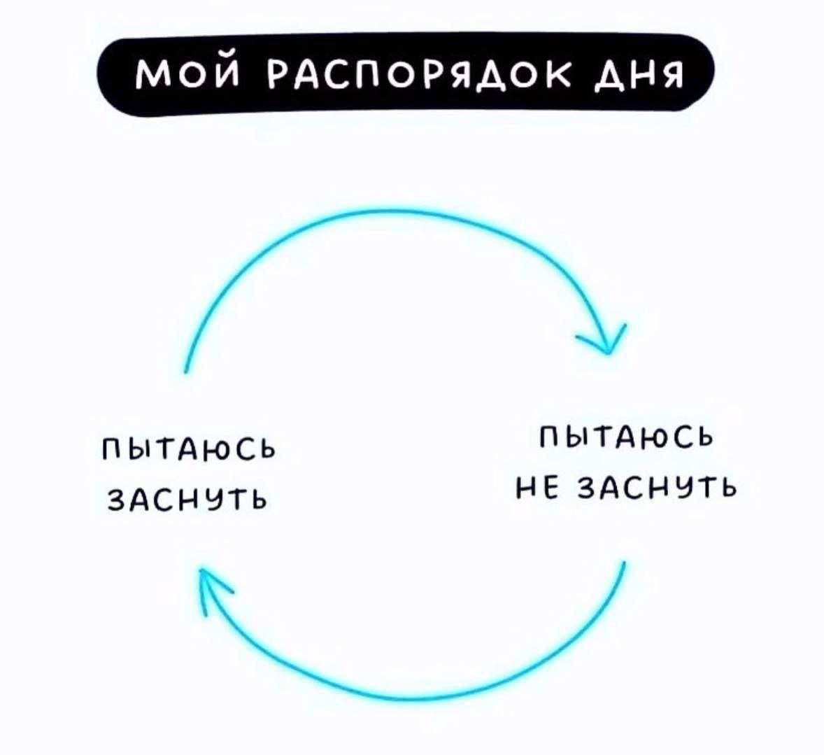 МОЙ РАСПОРЯДОК ДНЯ
ПЫТАЮСЬ ЗАСНУТЬ
ПЫТАЮСЬ НЕ ЗАСНУТЬ