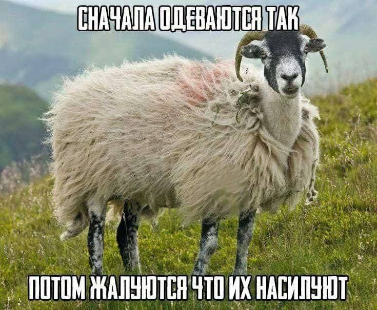 Сначала одеваются так. Потом жалуются, что их насилуют.