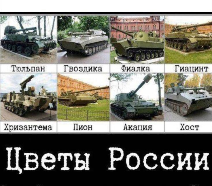 Тюльпан, Гвоздика, Фиалка, Гиацент, Хризантема, Пион, Акация, Хост
Цветы России