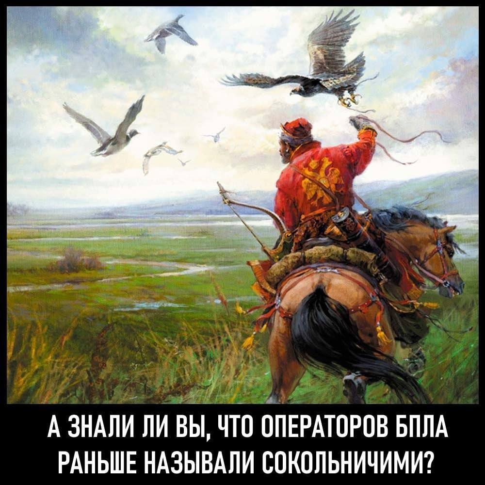 А ЗНАЛИ ЛИ ВЫ, ЧТО ОПЕРАТОРОВ БПЛA РАНЬШЕ НАЗЫВАЛИ СОКОЛЬНИЧИМИ?