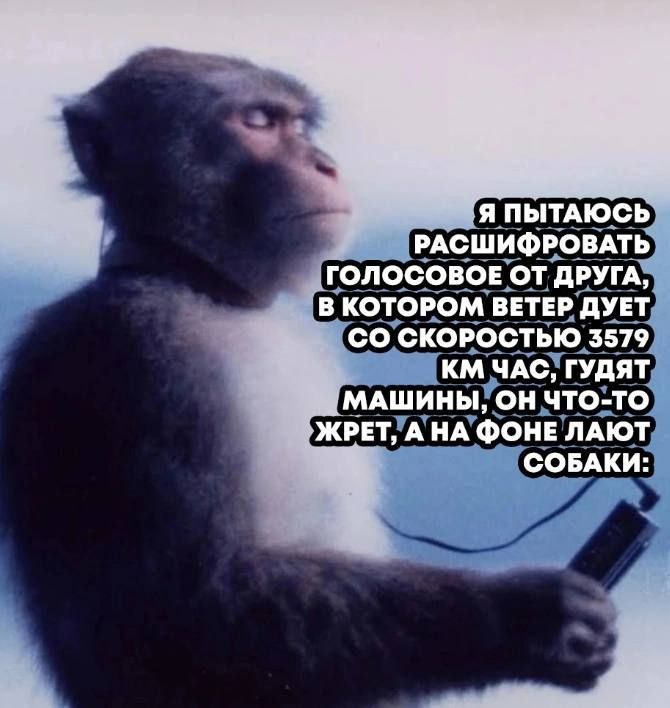 Я пытаюсь расшифровать голосовое от друга, в котором ветер дует со скоростью 3579 км час, гудят машины, он что-то жрет, а на фоне лают собаки: