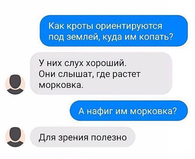 Как кроты ориентируются под землёй, куда им копать? У них слух хороший. Они слышат, где растёт морковка. А наfig им морковка? Для зрения полезно.