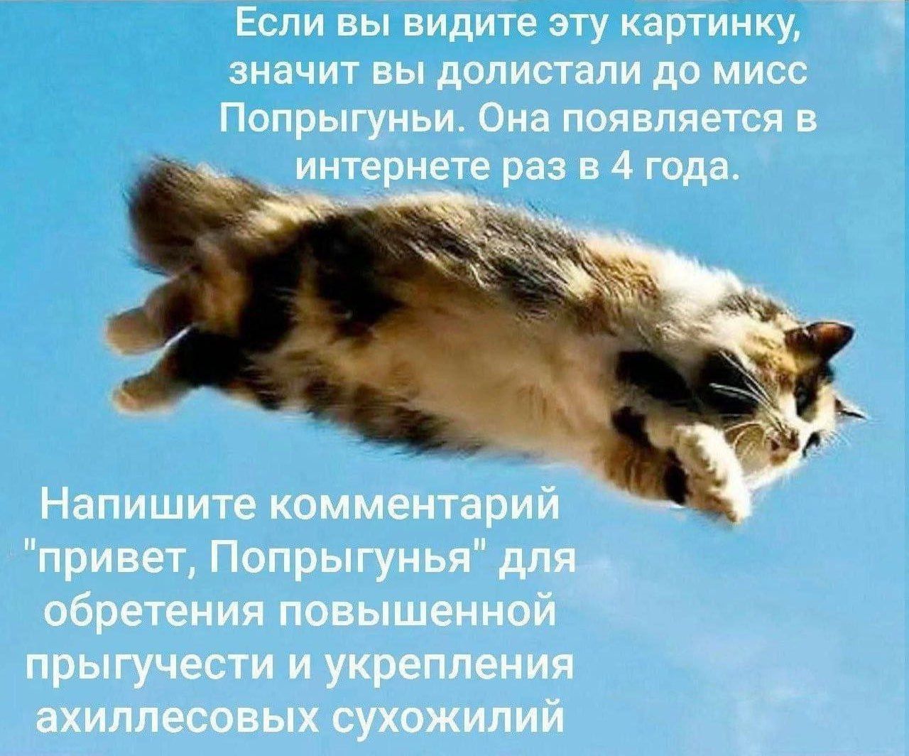 Если вы видите эту картинку, значит вы долистали до мисс Попрыгунья. Она появляется в интернете раз в 4 года.
Напишите комментарий 