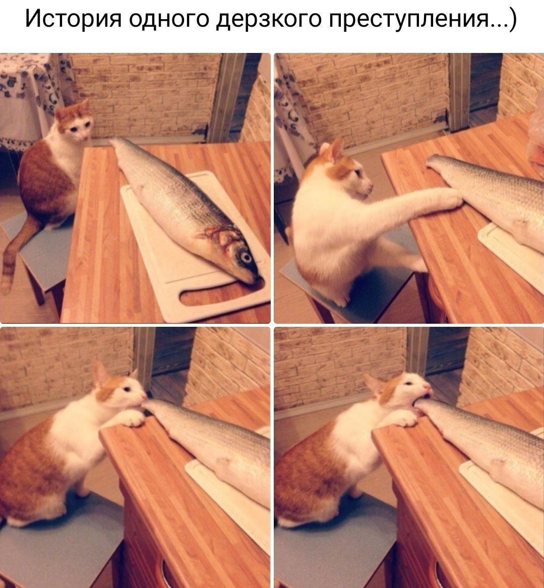 История одного дерзкого преступления...)