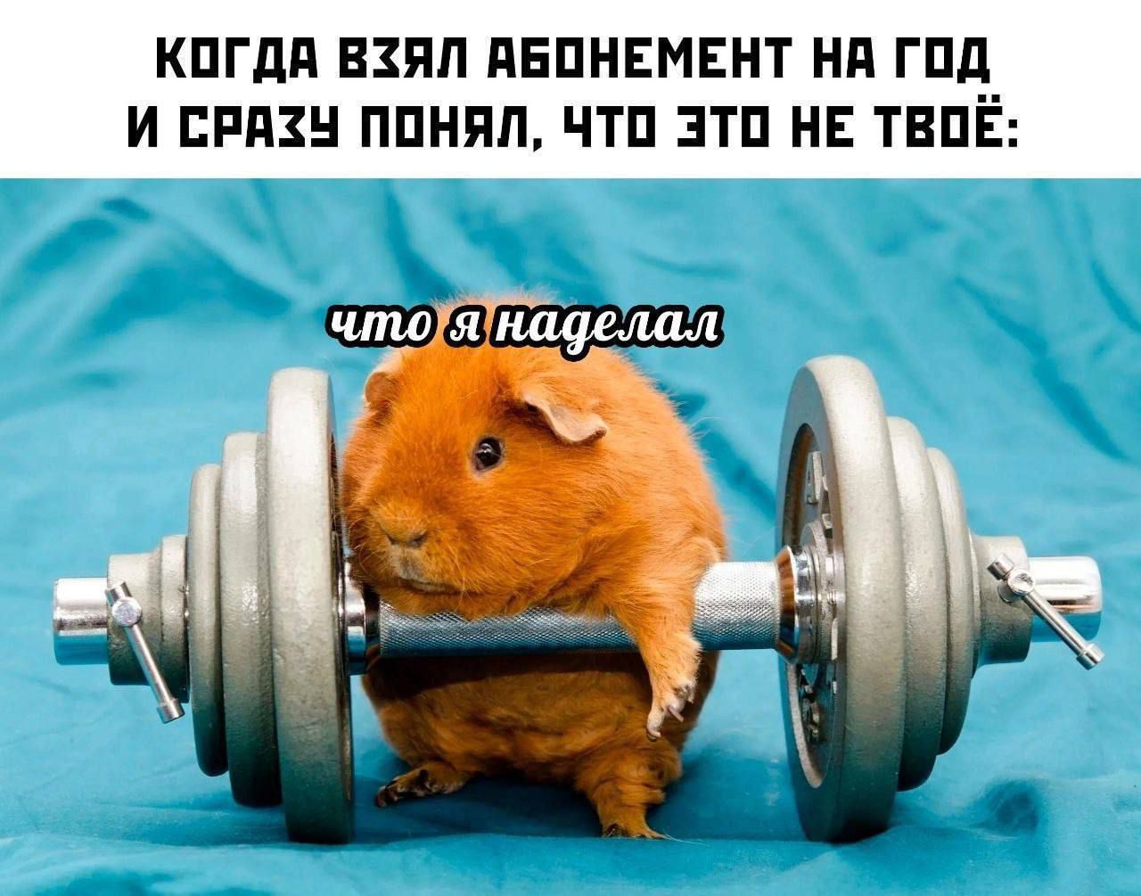 Когда взял абонемент на год и сразу понял, что это не твое: что я наделал