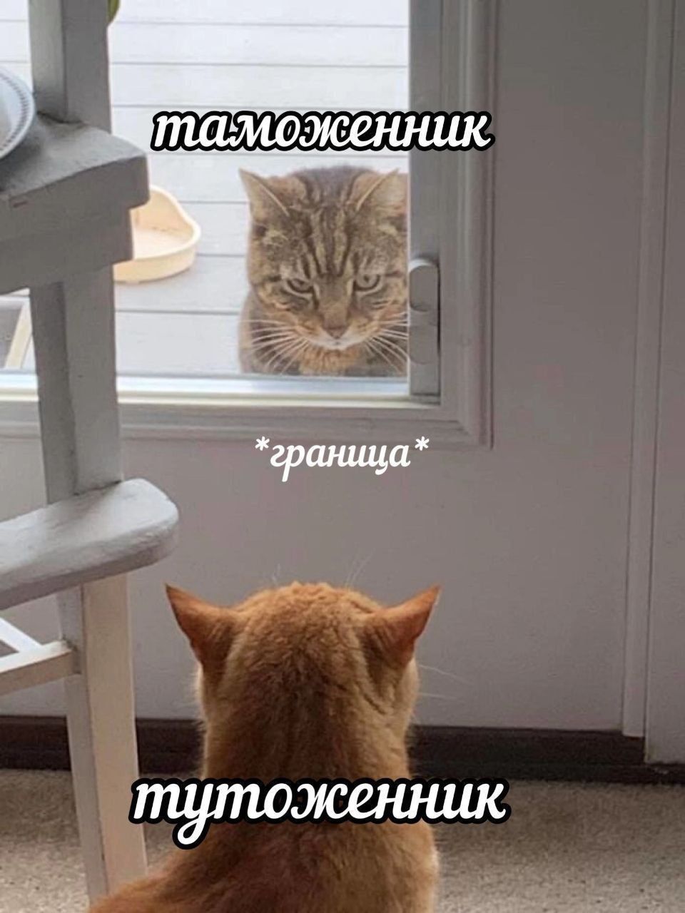 таможенник *граница* туоженник