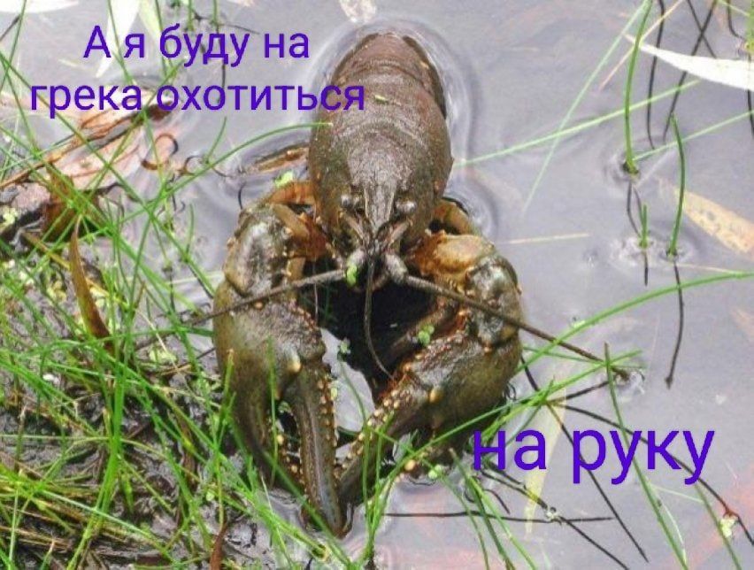А я буду на грека охотиться на руку