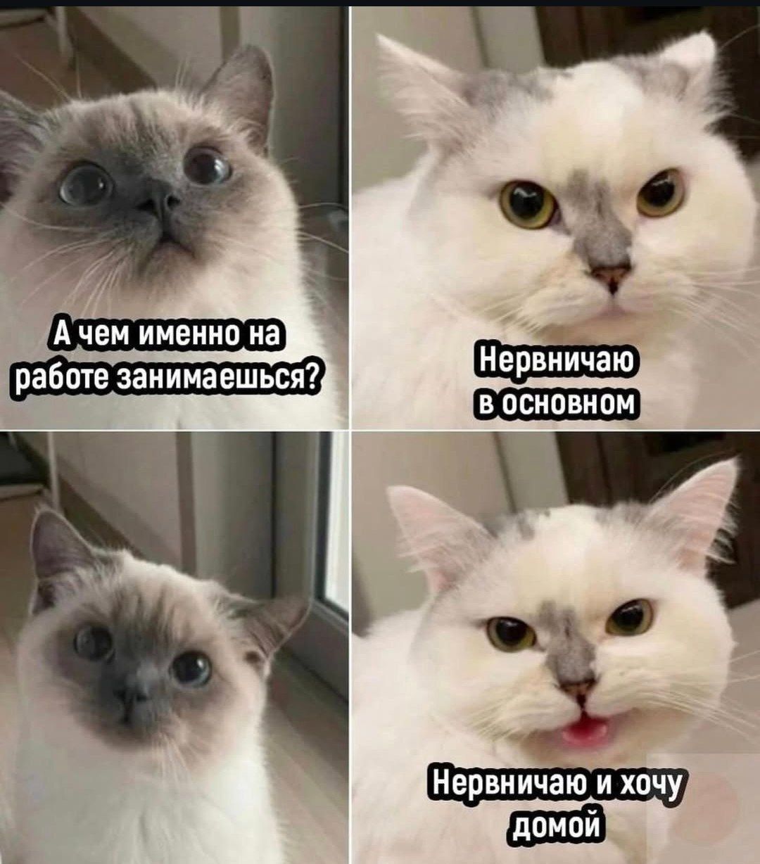 А чем именно на работе занимаешься? Нервничаю в основном. Нервничаю и хочу домой.