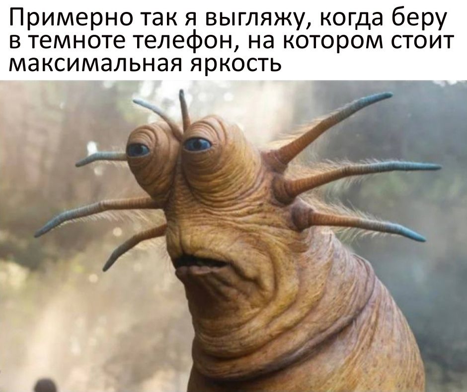Примерно так я выгляжу, когда беру в темноте телефон, на котором стоит максимальная яркость
