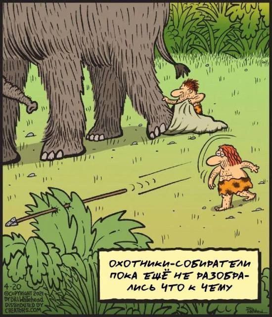 Охотники-собиратели пока еще не разобрались что к чему